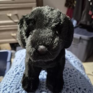 Plush Black Dog Toy